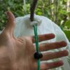 Sleeves_rearing_larvae