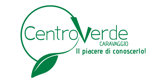 Logo-centro-verde